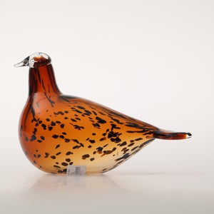 Birds Pekkasiini コッパーブラウン 0067