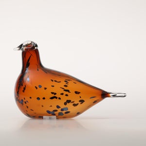 Birds Pekkasiini コッパーブラウン 0068