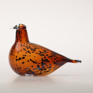 Birds Pekkasiini コッパーブラウン 0069