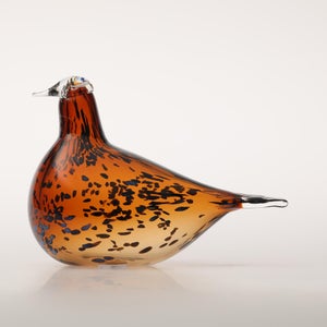 Birds Pekkasiini コッパーブラウン 0070