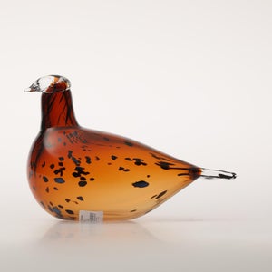 Birds Pekkasiini コッパーブラウン 0071