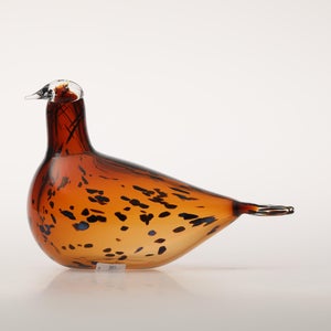 Birds Pekkasiini コッパーブラウン 0072