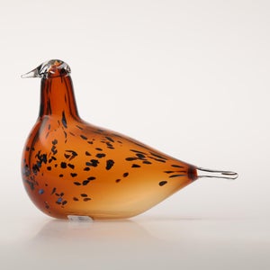 Birds Pekkasiini コッパーブラウン 0073