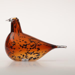 Birds Pekkasiini コッパーブラウン 0074