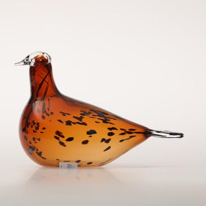 Birds Pekkasiini コッパーブラウン 0075