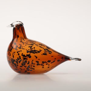 Birds Pekkasiini コッパーブラウン 0076