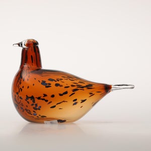 Birds Pekkasiini コッパーブラウン 0077