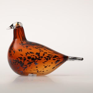 Birds Pekkasiini コッパーブラウン 0079