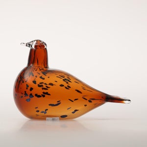 Birds Pekkasiini コッパーブラウン 0080