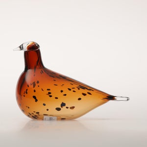 Birds Pekkasiini コッパーブラウン 0081