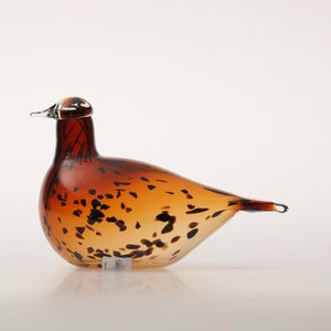 Birds Pekkasiini コッパーブラウン 0082