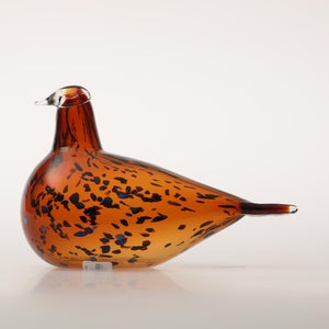 Birds Pekkasiini コッパーブラウン 0083