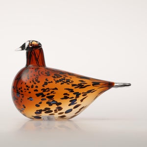 Birds Pekkasiini コッパーブラウン 0084