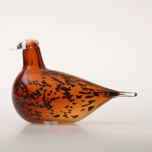 Birds Pekkasiini コッパーブラウン 0085