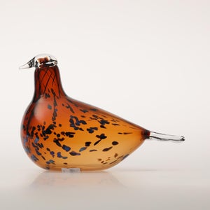 Birds Pekkasiini コッパーブラウン 0086