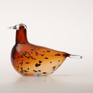 Birds Pekkasiini コッパーブラウン 0087