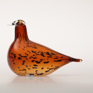 Birds Pekkasiini コッパーブラウン 0088