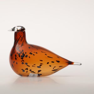 Birds Pekkasiini コッパーブラウン 0089