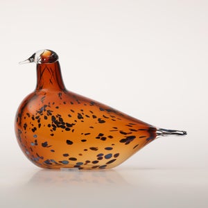 Birds Pekkasiini コッパーブラウン 0090