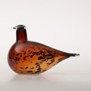 Birds Pekkasiini コッパーブラウン 0091