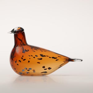 Birds Pekkasiini コッパーブラウン 0092