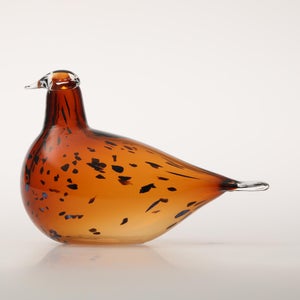 Birds Pekkasiini コッパーブラウン 0093