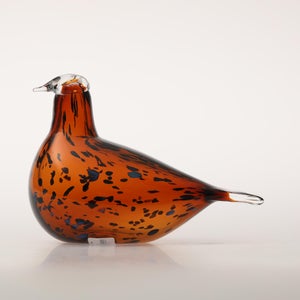 Birds Pekkasiini コッパーブラウン 0094