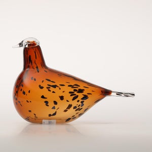 Birds Pekkasiini コッパーブラウン 0095