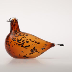 Birds Pekkasiini コッパーブラウン 0096