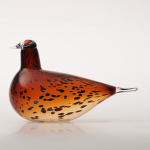 Birds Pekkasiini コッパーブラウン 0097