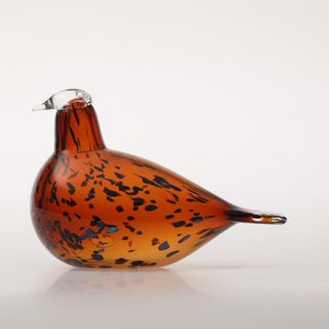 Birds Pekkasiini コッパーブラウン 0098