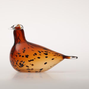 Birds Pekkasiini コッパーブラウン 0099