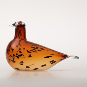 Birds Pekkasiini コッパーブラウン 0100