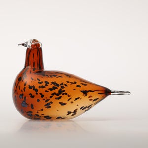 Birds Pekkasiini コッパーブラウン 0101