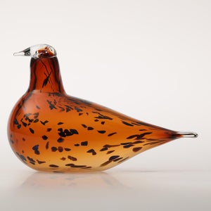 Birds Pekkasiini コッパーブラウン 0102