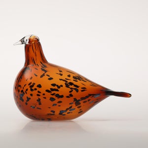 Birds Pekkasiini コッパーブラウン 0103