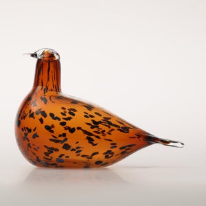 Birds Pekkasiini コッパーブラウン 0104