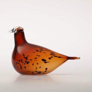 Birds Pekkasiini コッパーブラウン 0105