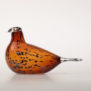 Birds Pekkasiini コッパーブラウン 0106