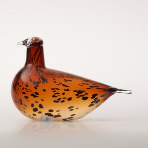 Birds Pekkasiini コッパーブラウン 0107