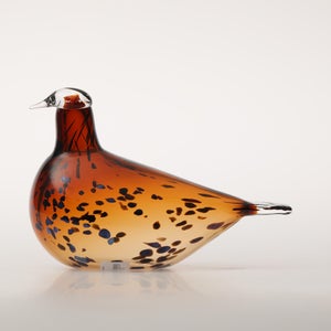 Birds Pekkasiini コッパーブラウン 0108