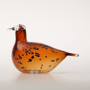 Birds Pekkasiini コッパーブラウン 0109