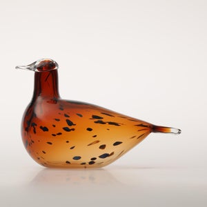 Birds Pekkasiini コッパーブラウン 0110