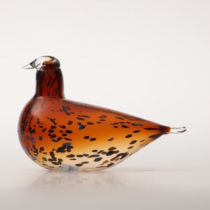 Birds Pekkasiini コッパーブラウン 0111