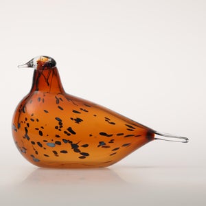 Birds Pekkasiini コッパーブラウン 0112