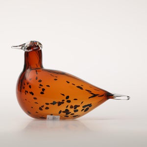 Birds Pekkasiini コッパーブラウン 0113