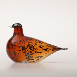 Birds Pekkasiini コッパーブラウン 0114