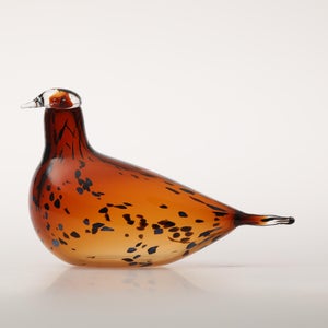 Birds Pekkasiini コッパーブラウン 0115