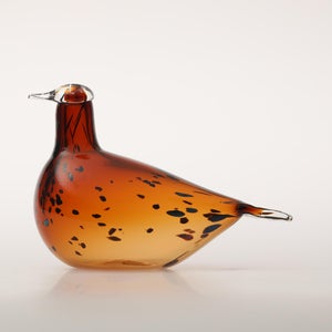 Birds Pekkasiini コッパーブラウン 0116