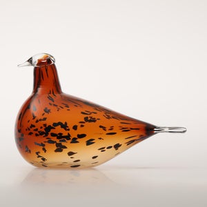 Birds Pekkasiini コッパーブラウン 0117